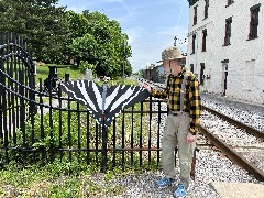 Dan Dorrough; Our Daily Walk; Butterflys; RR Tracks Butterfly (1892 Hotel)
